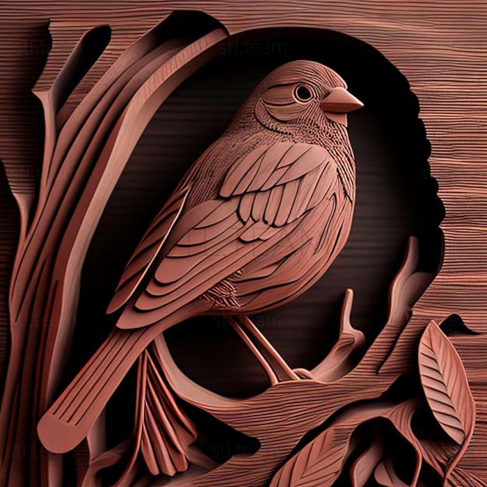 3D модель Junco insularis (STL)